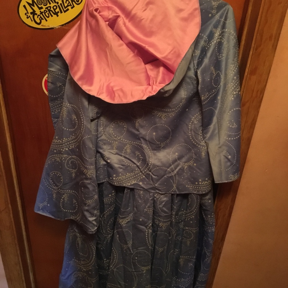 Disney Fairy Godmother Costume